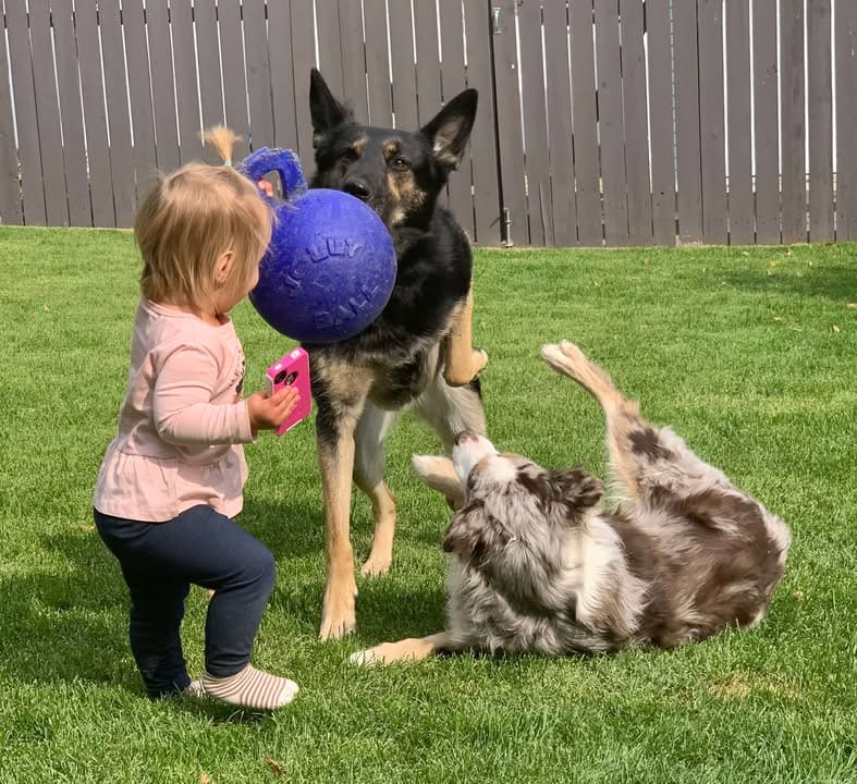 Young stylish couple walking with dog in street
